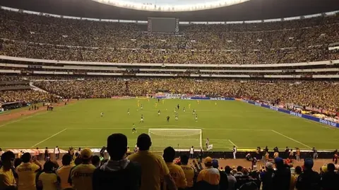 布莱顿官方：欣谢尔伍德续约至2029年，合同详情公布